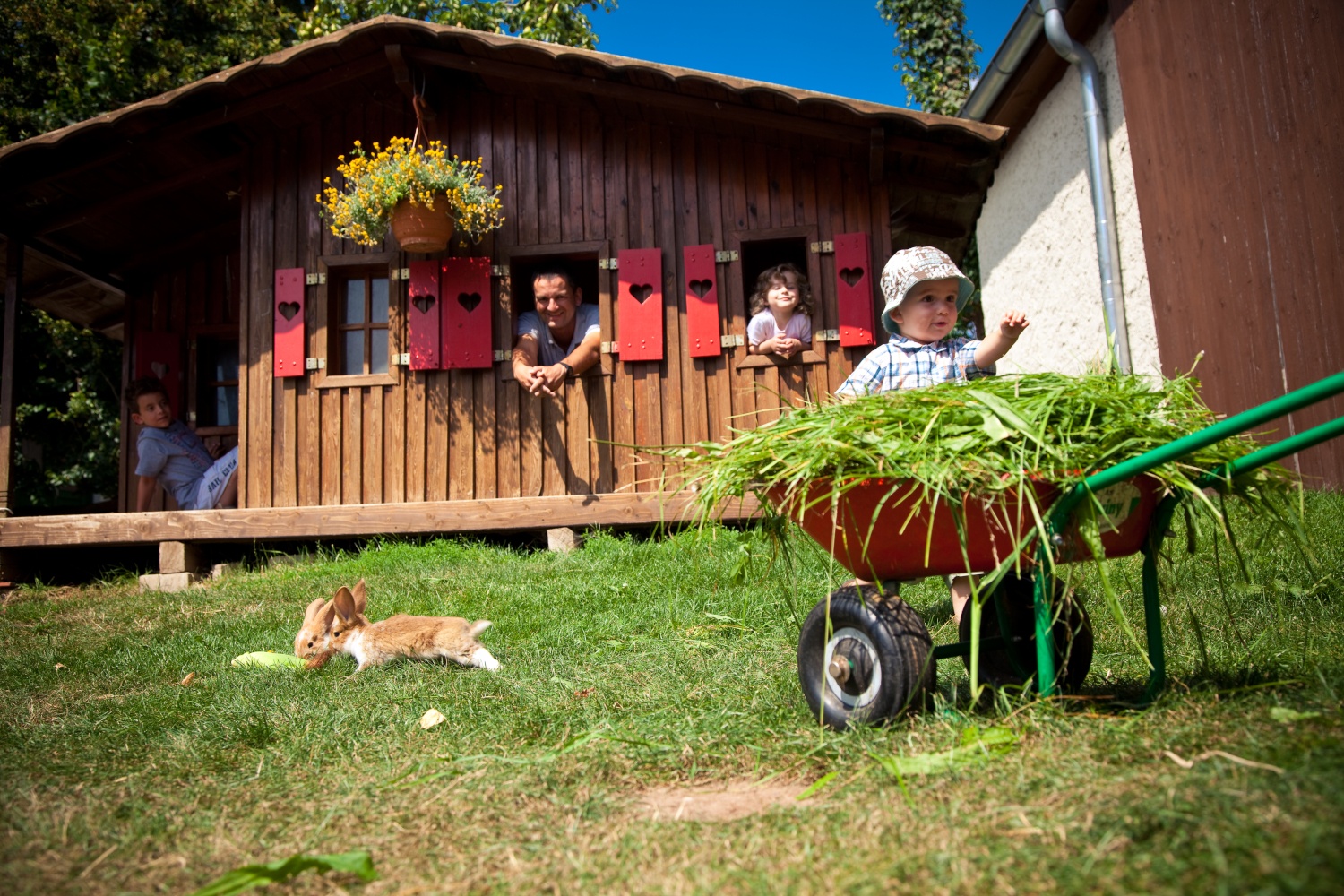 Urlaub auf dem Bauernhof